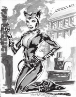 Catwoman DC Batman pinup Comic Art